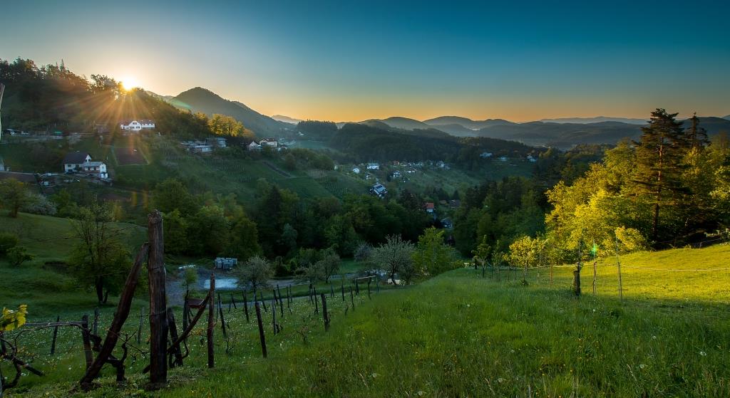 Kavče 1